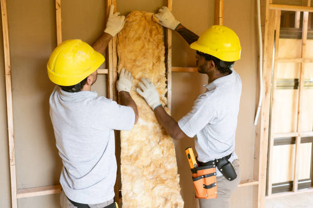 Reliable Mchenry, IL Insulation Installation & Removal Solutions