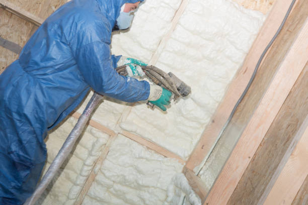 Best Spray Foam Insulation  in Mchenry, IL